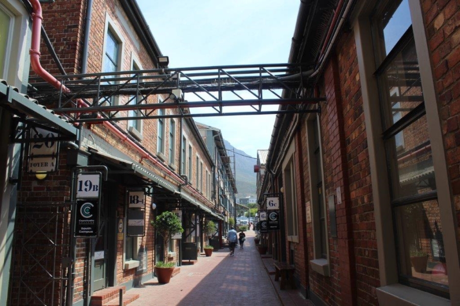 To Let commercial Property for Rent in Mowbray Western Cape